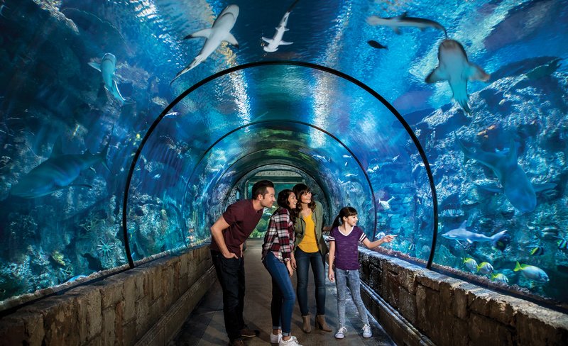 Shark Reef Aquarium Admission in Las Vegas