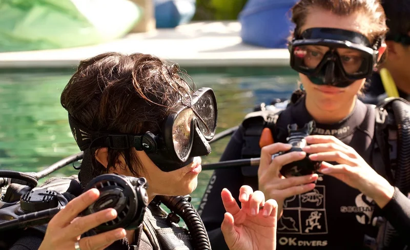 Dive into Padangbai's Beauty: Discover Scuba with PADI 5* Center