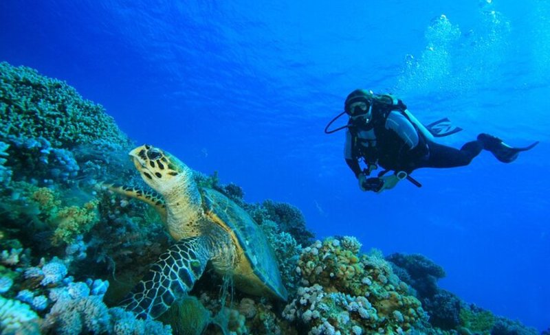 Full Day Racha Yai Scuba Diving Course All Inclusive from Phuket