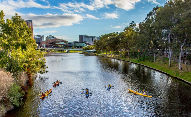 Adelaide City Guided Kayak Tour on the River Torrens