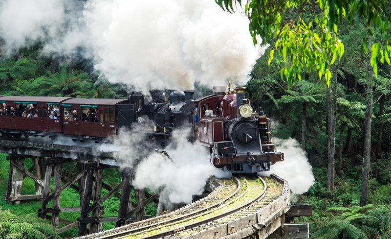 Healesville Sanctuary and Puffing Billy Scenic Tour from Melbourne