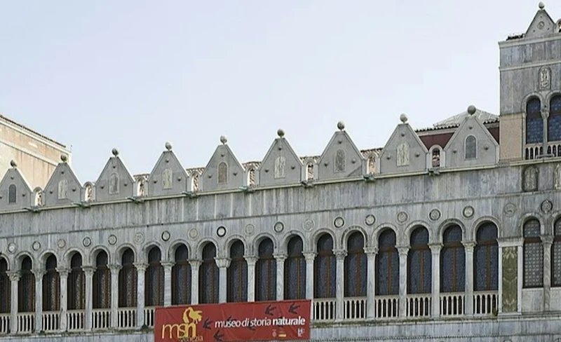 Natural History Museum of Venice ticket