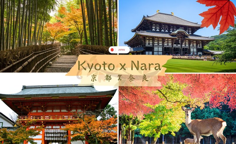 Arashiyama, Nara & Yasaka Shrine & Hanakomiji OneDay Tour from Osaka