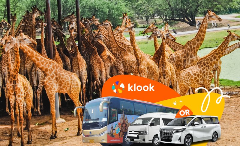 Bangkok Safari World Shared and Private Transfers Service Tour