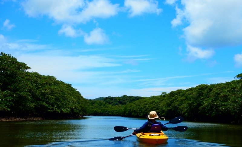 Canoeing and Trekking Experience in Iriomote Island