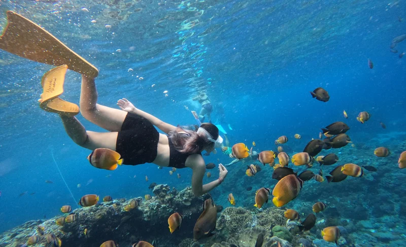 Half-Day Snorkeling Trip From Bali to Nusa Lembongan and Nusa Penida