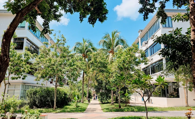 Singapore Tiong Bahru Half-Day Private Tour