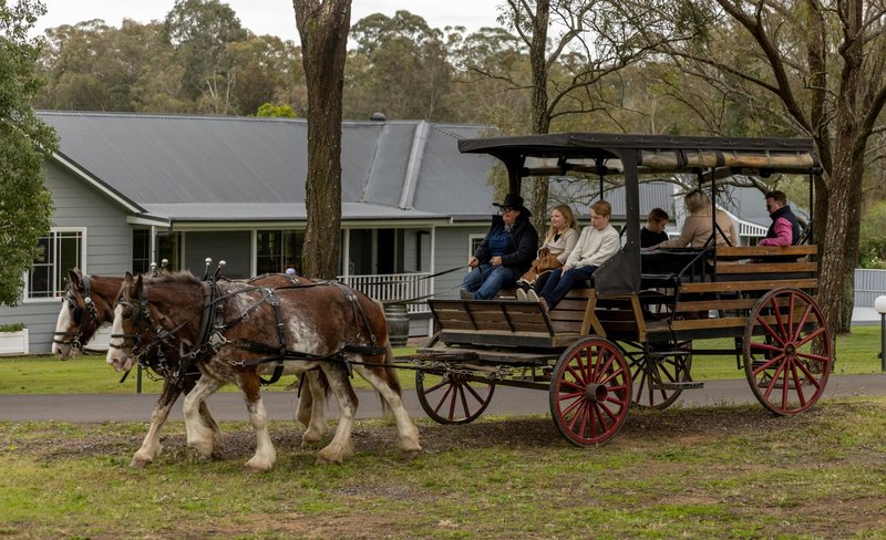 Horse Carriage Wine Tour with Lunch in Hunter Valley