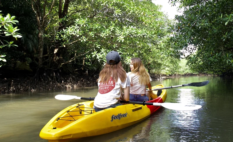 Ishigaki Island: Full-Day Tour - Mangrove SUP/Canoe & Blue Cave Snorkeling