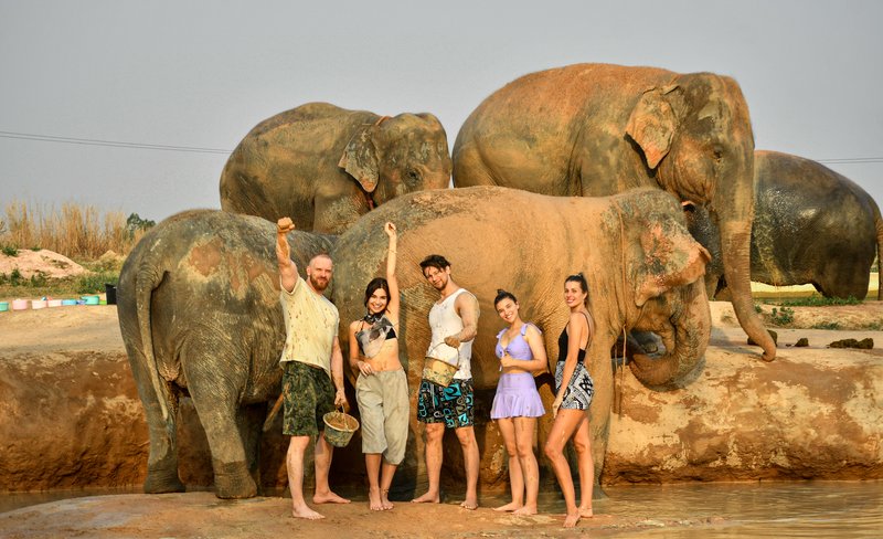 Elephant Jungle Sanctuary Pattaya Experience