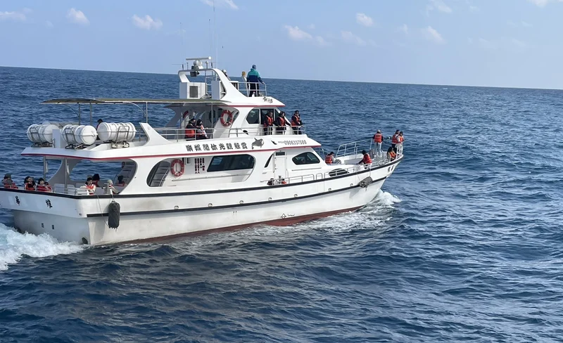 Hualien Whale Watching | Whale Watching with Hua-Wei | Whale Watching Tour Experience