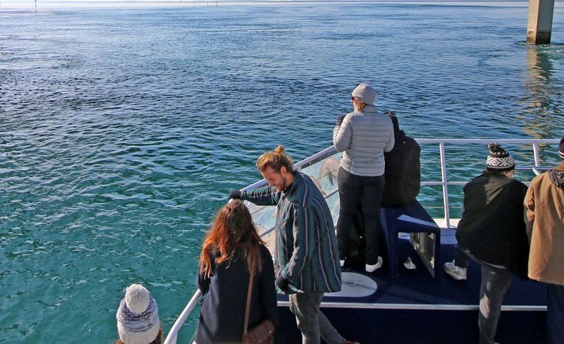 Phillip Island Cape Woolamai Cruise
