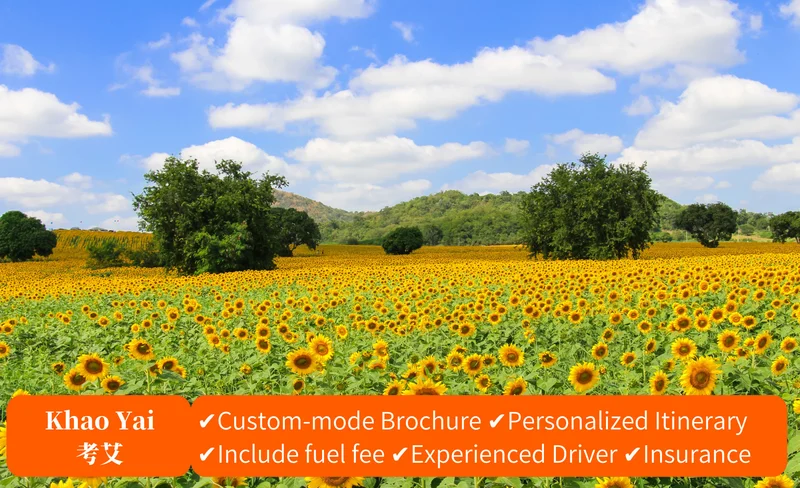 Private Car Charter Khao Yai Multiple Days Custom Tour from Bangkok