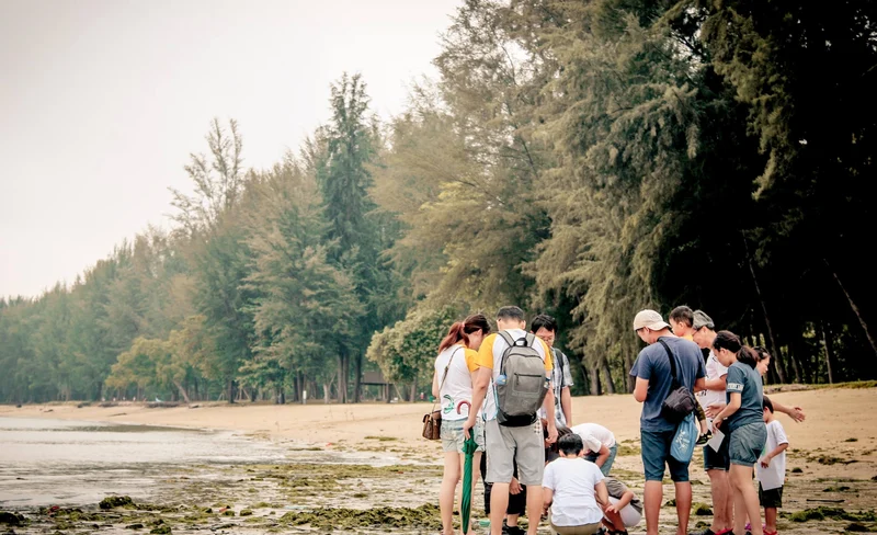 Nature Walk: Unravelling Wildlife Mysteries in Singapore