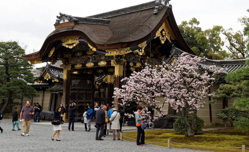 Kyoto Imperial Palace & Nijo Castle Small Group Guided Walking Tour