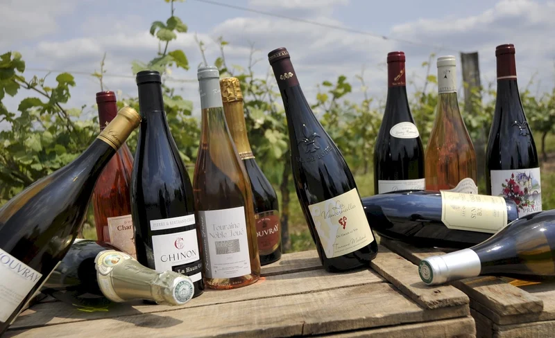 Loire Valley Full Day Wine Tour from Tours