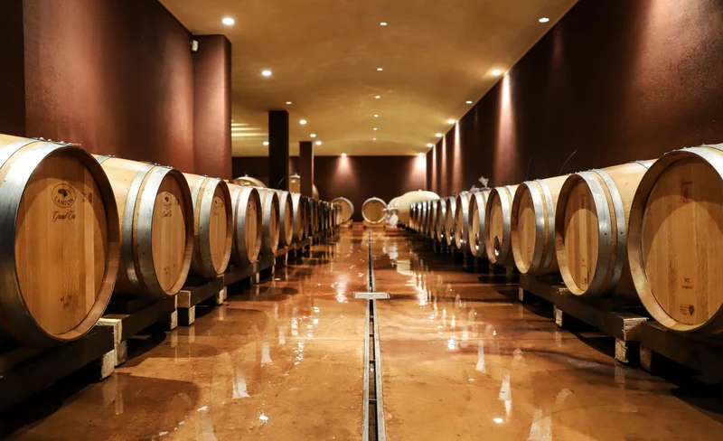 Bardolino Lake Garda Half-Day Small Group Wine Tasting Tour