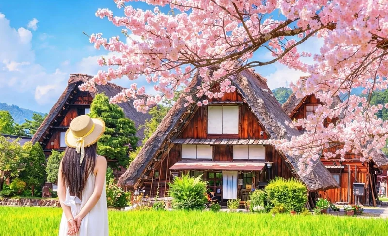 Hida Takayama & Shirakawa-go Gassho Village Day Trip (Departure from Nagoya, optional tour including observation deck)