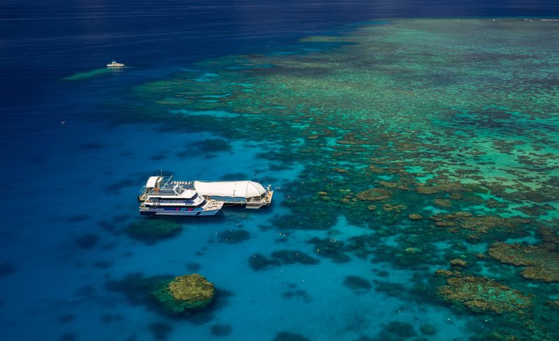 Great Barrier Reef Snorkeling and Underwater Observatory in Cairns