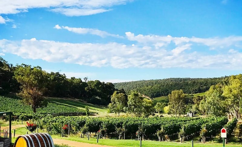 Bickley Valley Perth Wine & Cider Day Tour
