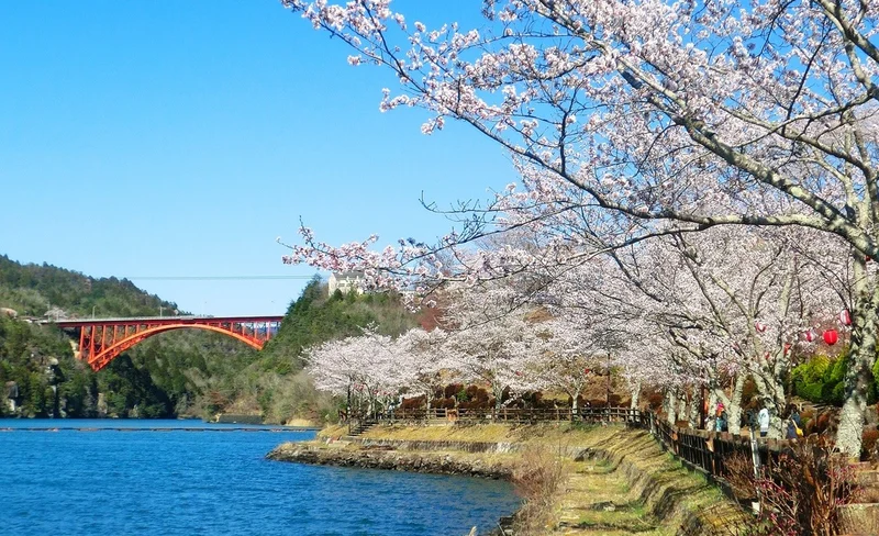 Kokeizan Eiho-ji Temple + Oboke Gorge + Ena Gorge + Magome-juku & Tsumago-juku (From Nagoya)