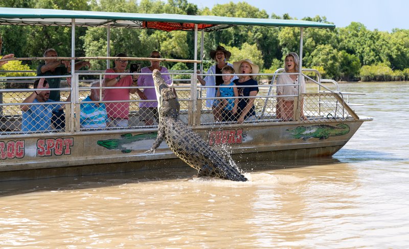 Jumping Crocodile Cruise Half Day Experience