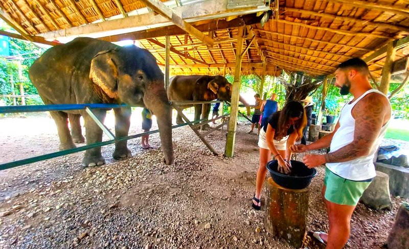 Khao Sok Elephant Rescue Center with Rafting, cooking class & lunch