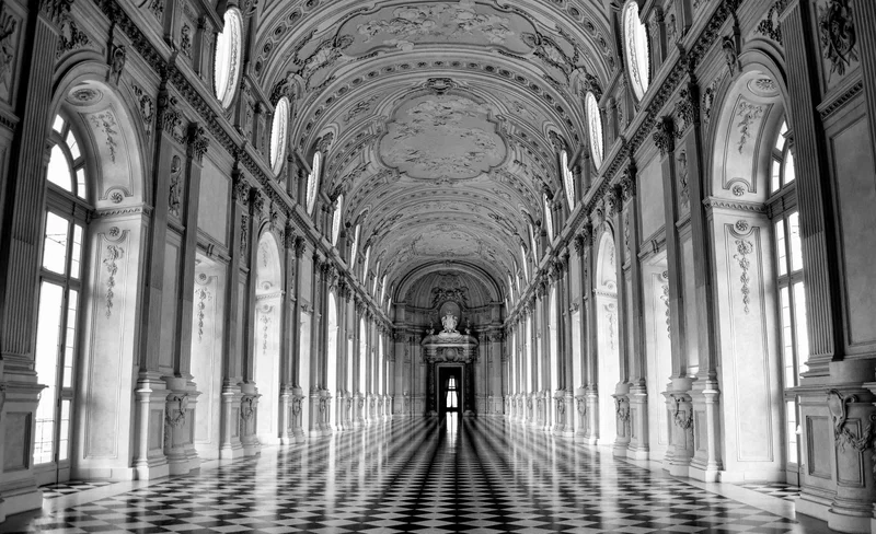 Turin Palace of Venaria Half-Day Private Guided Tour