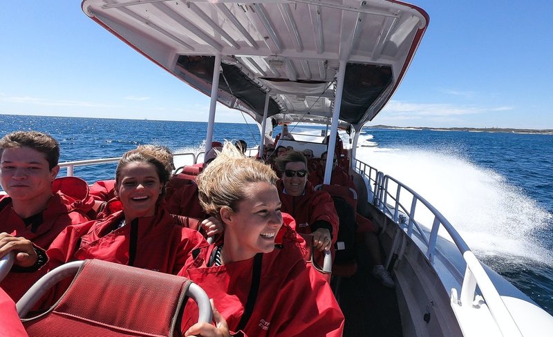 Rottnest Island Iconic Boat Tour from Perth or Fremantle
