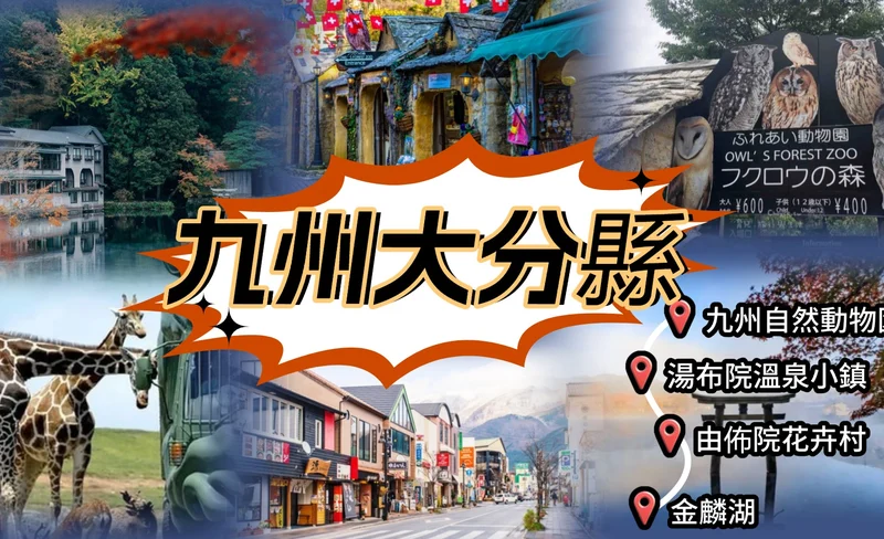 Kyushu | Oita Kyushu Natural Animal Park/Beppu Sea Hell Hot Spring/Yufuin/Kinrin Lake Customized Chartered Day Tour
