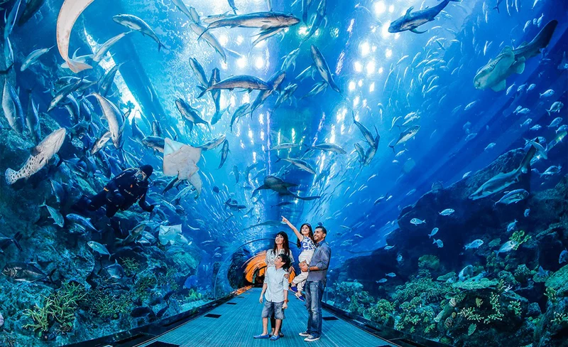 Dubai Aquarium Ticket