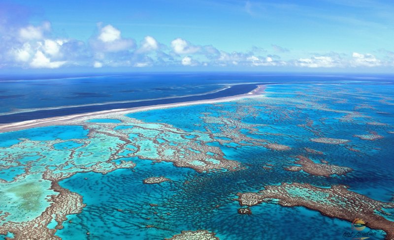 Great Barrier Reef Flight and Cruise Day Tour in Whitsundays
