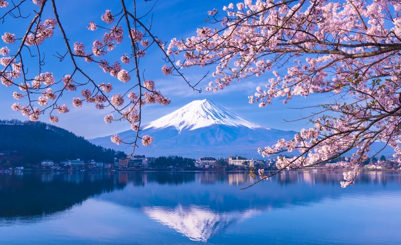 Tokyo Mount Fuji & Lake Kawaguchi Full-Day Guided Tour
