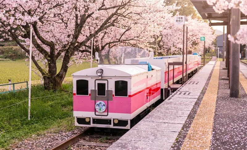 Kyushu Takachiho Day Trip | Takachiho Gorge Boat Ride, Kamishikimi Kumanoza Shrine/Takachiho Railway, Mount Aso, Kusasenri (Starting from Kumamoto)