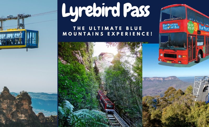 Blue Mountains Hop-On-Hop-Off Bus Pass with optional Scenic World Tickets