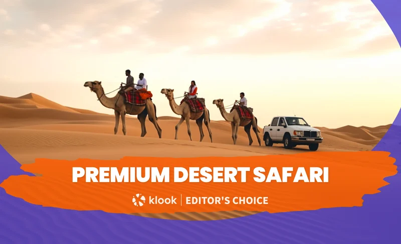 Premium Desert Safari - Morning, Evening & Overnight at Al Khayma