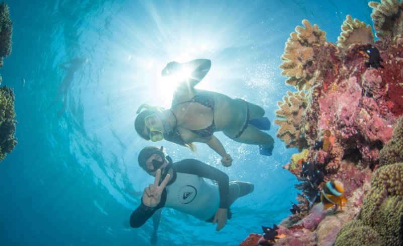 Snorkel or Dive in The Great Barrier Reef Full Day Tour from Cairns