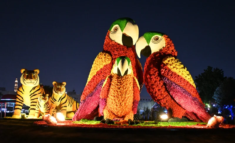 Dubai Garden Glow Ticket