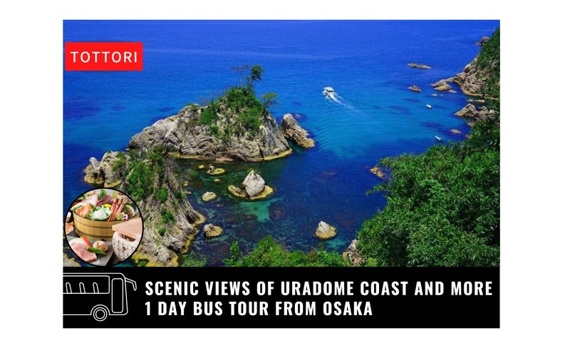 Uradome Coast, Tottori Sand Dunes, & Hakuto Shrine Tour from Osaka