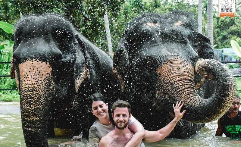 Elephant Jungle Sanctuary Experience in Koh Samui