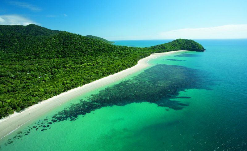 Cape Tribulation, Daintree Rainforest and Mossman Gorge Day Tour from Cairns