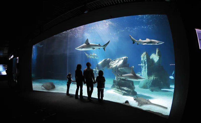 Aquarium of Genoa and the city of Children and Youth museum ticket