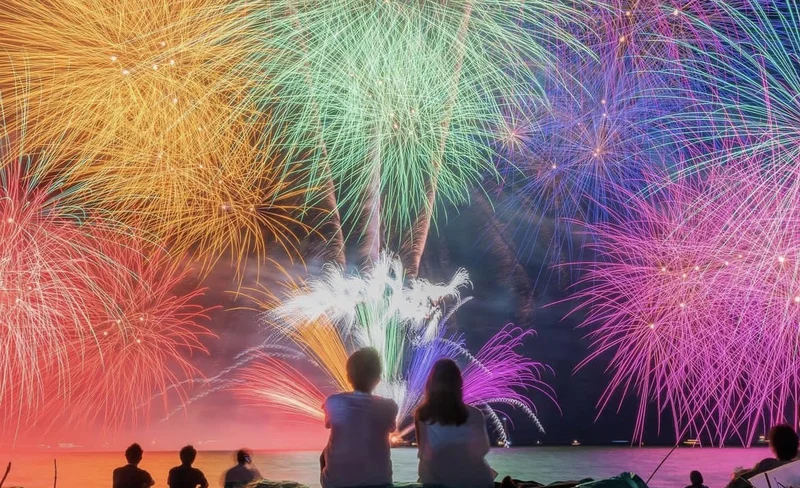 [Hakone & Atami Fireworks Day Trip] Mt. Fuji Hakone Shrine & Floating Torii Gate & Lake Ashi Lakeside Stroll & Atami Sun Beach & Atami Fireworks Festival (From Tokyo)