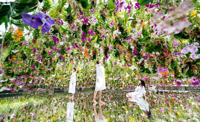 teamLab Planets TOKYO Ticket