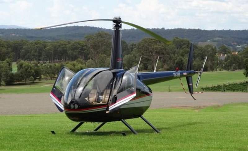 Hunter Valley Helicopter Flight and Picnic Among the Vines