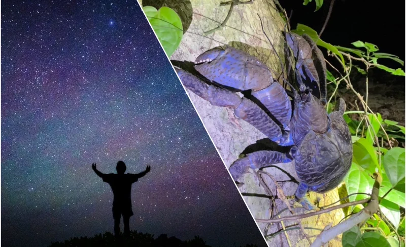 Miyako Island :Exploring the jungle under the stars and at night