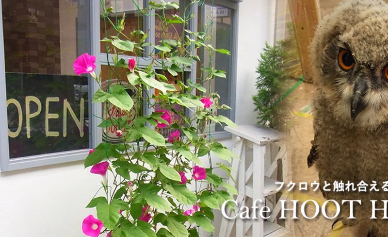 Tokyo Owl Cafe HOOT HOOT