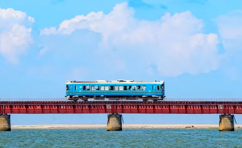 Kyoto Tango Spirited Away Sea Train & Amanohashidate & Ine Boathouse Day Trip (Including Sea Train Ticket) | Departure from Osaka