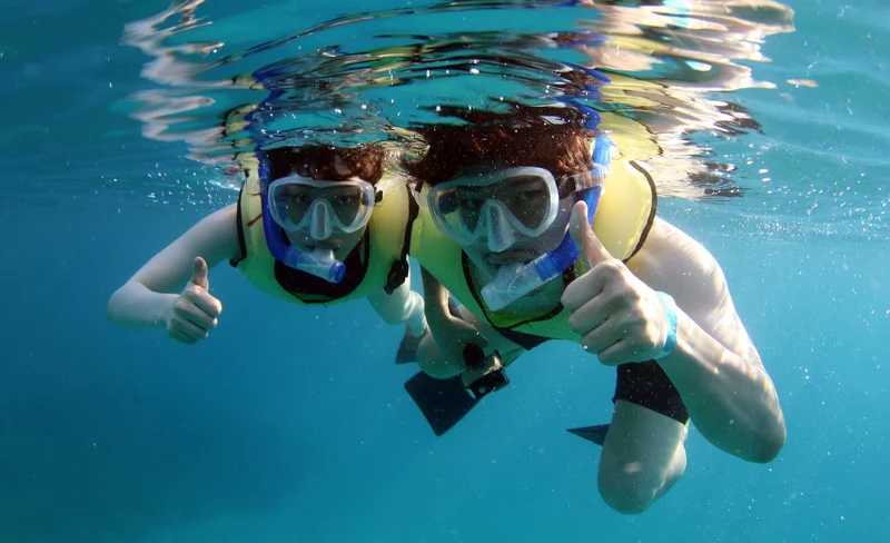 Luxury Morning Snorkel Cruise with Whale & Dolphin Watching in Oahu