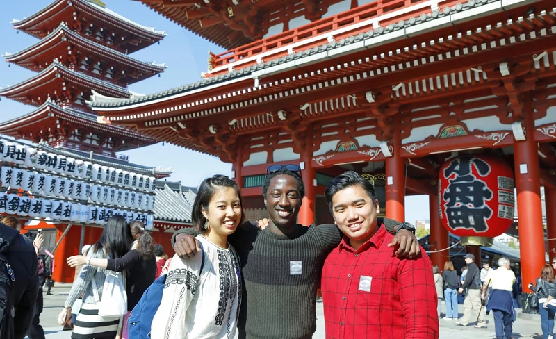 Tokyo Panoramic 1 Day: Meiji Shrine, Asakusa, Odaiba and SKYTREE®